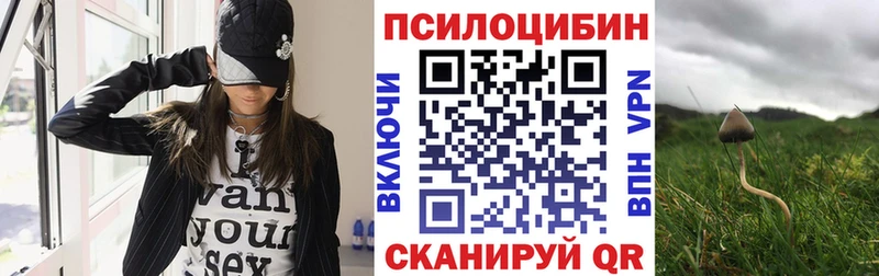 Галлюциногенные грибы мицелий  Купить  Холмск 